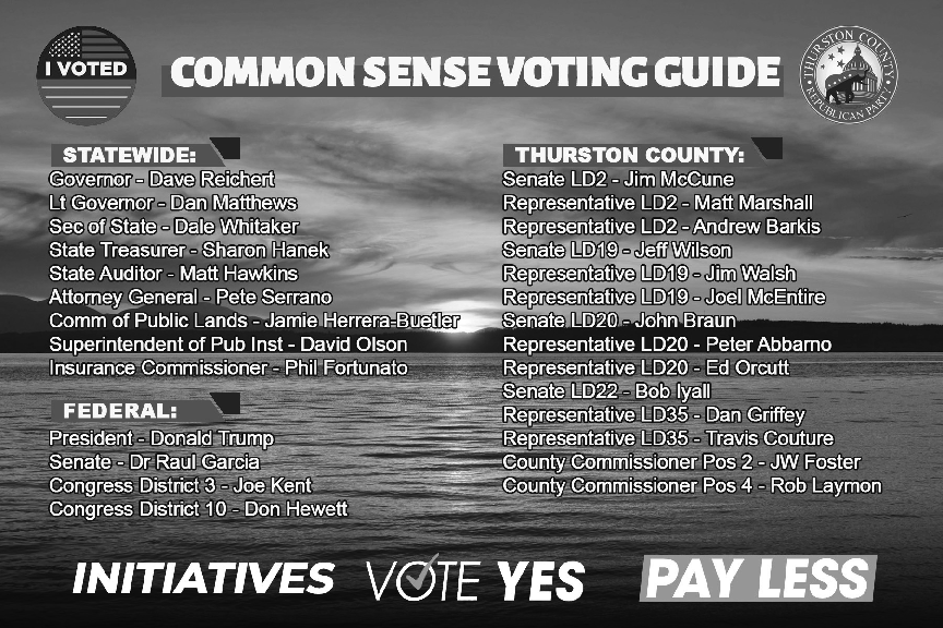 Thurston County Ballot